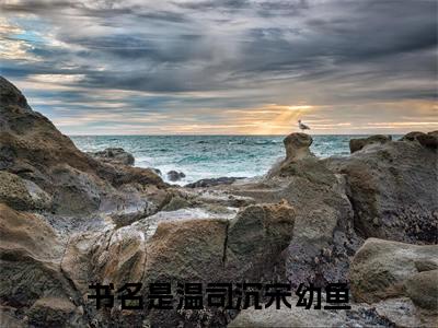 温司沉宋幼鱼(温司沉宋幼鱼小说)全文在线阅读无弹窗大结局_(温司沉宋幼鱼小说)温司沉宋幼鱼在线阅读无弹窗最新章节列表_笔趣阁