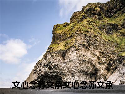 文心念苏文承(文心念苏文承)全文免费阅读无弹窗大结局_(文心念苏文承免费阅读全文大结局)最新章节列表_笔趣阁