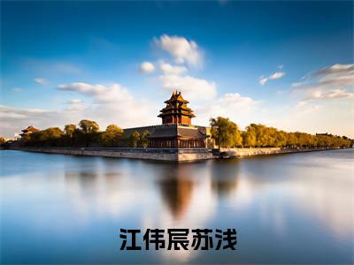 江伟宸苏浅（江伟宸苏浅小说）全文免费阅读无弹窗大结局_江伟宸苏浅最新章节（江伟宸苏浅）