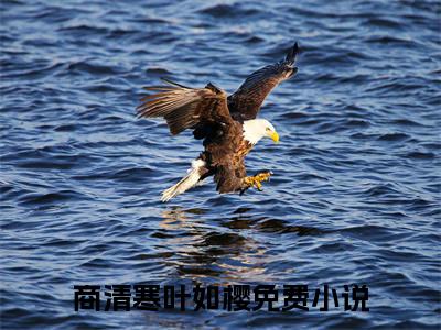 （商清寒叶如樱）全文免费阅读无弹窗大结局_（叶如樱商清寒阅读无弹窗）商清寒叶如樱最新章节列表_笔趣阁