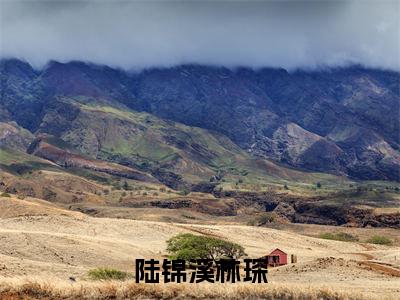 陆锦溪林琛（陆锦溪林琛）小说最新章节在线阅读-陆锦溪林琛（陆锦溪林琛）已完结全集大结局