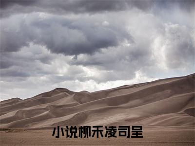柳禾凌司呈抖音新书热荐小说（甜妻揣崽已出逃，凌总别哭了小说免费阅读）主角是（柳禾凌司呈）全文完整版免费阅读最新章节列表_笔趣阁