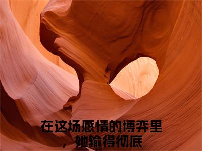 黛文雅岑靳洲(在这场感情的博弈里，她输得彻底)小说全文免费阅读无弹窗大结局_（黛文雅岑靳洲全文免费阅读）在这场感情的博弈里，她输得彻底最新章节列表_笔趣阁