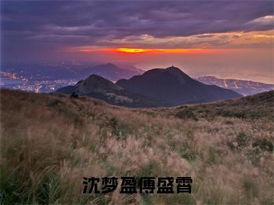 沈梦盈傅盛霄（沈梦盈傅盛霄）免费阅读完整版-沈梦盈傅盛霄全文大结局已完结