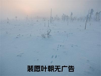裴愿叶朝（裴愿叶朝小说）在线阅读全文-裴愿叶朝小说免费阅读完结版全文