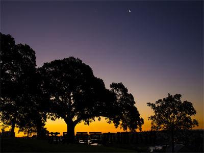 苏景霆夏亦珊（苏景霆夏亦珊）完整版小说免费阅读全文-苏景霆夏亦珊最新在线阅读