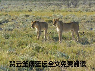 主角为贺云笙傅廷远的小说（贺云笙傅廷远）无弹窗大结局-贺云笙傅廷远最新小说全文阅读最新章节列表_笔趣阁