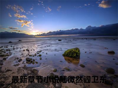 陆微然阎卫东无广告小说全文免费阅读无弹窗大结局-陆微然阎卫东在线阅读