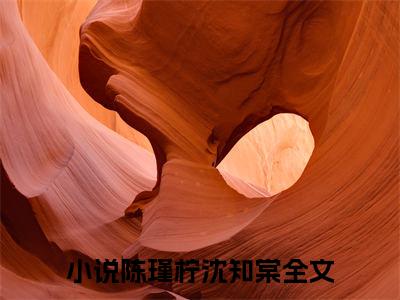 陈瑾柠沈知棠（陈瑾柠沈知棠）全文免费阅读无弹窗_陈瑾柠沈知棠最新小说精彩推荐