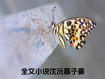 沈沅慕子晏全网热搜（君落花有意）是什么小说,沈沅慕子晏免费阅读无弹窗