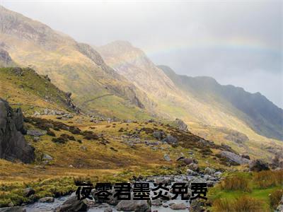 夜零君墨炎（夜零君墨炎）小说免费在线阅读_夜零君墨炎全本免费小说阅读大结局（夜零君墨炎）