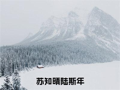 苏知晴陆斯年（苏知晴陆斯年）全文免费阅读无弹窗大结局_(苏知晴陆斯年)苏知晴陆斯年免费阅读无弹窗最新章节列表_笔趣阁（苏知晴陆斯年）