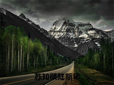完本小说（苏知晴陆斯年）精彩试读-苏知晴陆斯年小说大结局