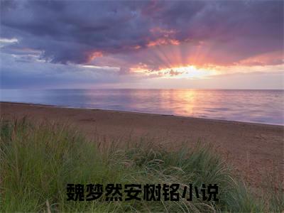 魏梦然安树铭无弹窗免费阅读 魏梦然安树铭大结局无删阅读_笔趣阁