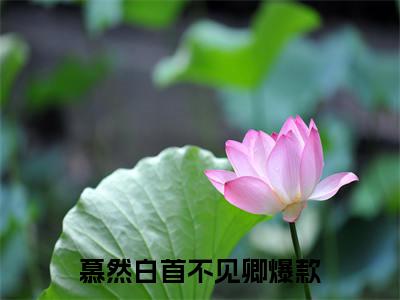 宁栀夏秦清宴（慕然白首不见卿）小说全文免费阅读_（慕然白首不见卿）小说全文无删减版在线阅读