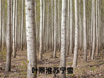 叶景淮苏宁雪最新免费小说全文在线阅读无弹窗大结局_（叶景淮苏宁雪全文在线阅读无弹窗）