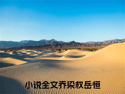 乔染权岳恒小说大结局免费阅读-精彩小说（乔染权岳恒）