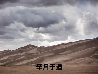 辛月于适阅读无弹窗大结局_（辛月于适阅读无弹窗）最新章节列表_笔趣阁（辛月于适）