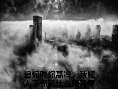 热门小说追你时你高冷，我嫁人了你哭什么 全文免费阅读无弹窗大结局-乔吟谢遇安全文无弹窗免费阅读大结局
