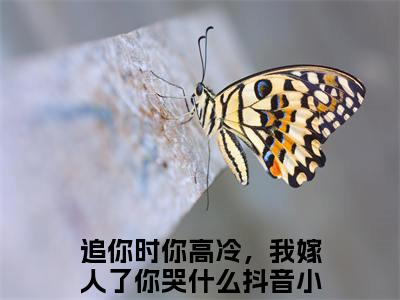 追你时你高冷，我嫁人了你哭什么（乔吟谢遇安）最新章节在线阅读 抖音新书热荐乔吟谢遇安