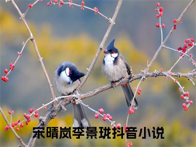 宋晴岚李景珑小说（宋晴岚李景珑）全文免费阅读无弹窗大结局-宋晴岚李景珑最新热点小说