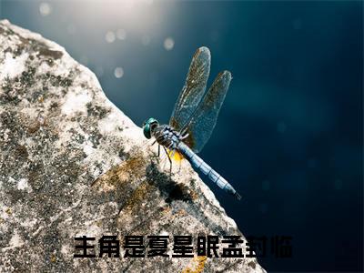 夏星眠孟封临全文小说（夏星眠孟封临）全文免费阅读无弹窗大结局_夏星眠孟封临最新章节列表_笔趣阁（夏星眠孟封临）