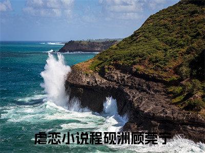 程砚洲顾莞宁小说大结局免费阅读（程砚洲顾莞宁）-完结版程砚洲顾莞宁小说免费阅读