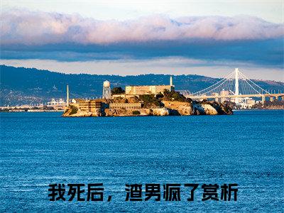 我死后，渣男疯了(傅铭煜程西)全文免费阅读无弹窗大结局_(我死后，渣男疯了小说免费阅读全文大结局)最新章节列表_笔趣阁