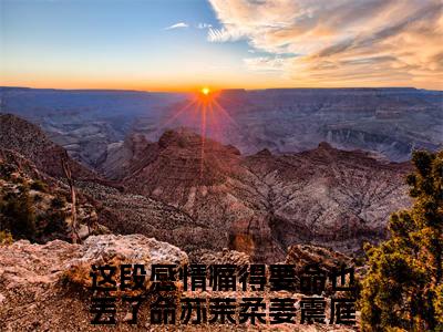 苏茉柔姜震庭（这段感情痛得要命也丢了命）小说全文免费阅读正版无弹窗，苏茉柔姜震庭免费阅读