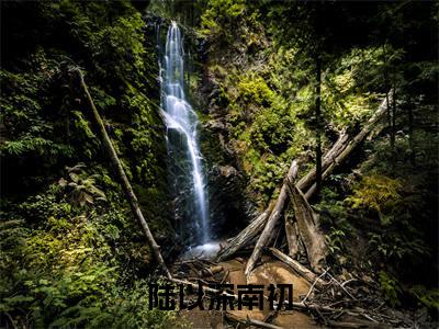 陆以深南初的小说免费阅读（坠落的小说免费阅读）全文完整版免费阅读