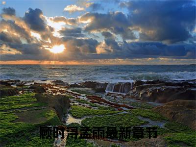 主角叫顾时浔孟雨的小说-顾时浔孟雨最新章节在线阅读