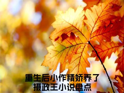 沈沉鱼赫连骁(重生后小作精娇养了摄政王)全文免费阅读无弹窗大结局_沈沉鱼赫连骁免费试读阅读全文无弹窗_