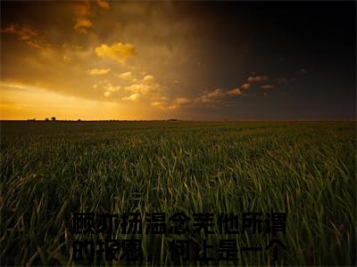 他所谓的报恩，何止是一个笑话（顾亦扬温念芜小说）全文免费阅读无弹窗大结局_他所谓的报恩，何止是一个笑话最新章节（顾亦扬温念芜）