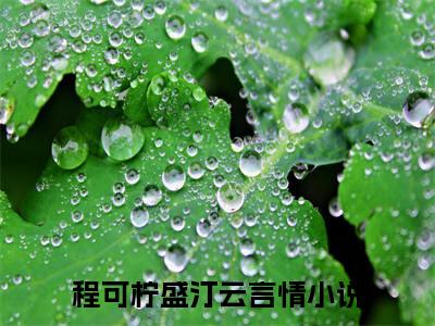 抖音热推高点击小说（程可柠盛汀云）在线阅读-程可柠盛汀云无广告阅读