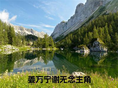 姜万宁谢无念小说(姜万宁谢无念)全文免费姜万宁谢无念读无弹窗大结局_(姜万宁谢无念小说免费阅读)
