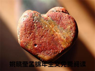 姚晓莹孟锦年新书热荐免费小说全文完整版-姚晓莹孟锦年知乎小说