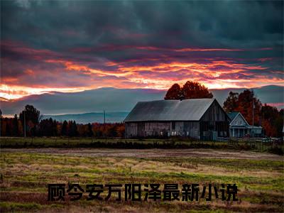 顾今安万阳泽（顾今安万阳泽)小说免费阅读在线阅读_顾今安万阳泽全文免费阅读_笔趣阁