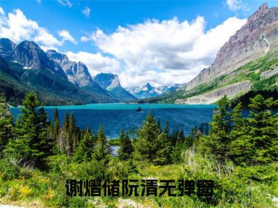 谢熠储阮清（从阮清离开皇宫起，就是王爷的人了）小说免费阅读_谢熠储阮清精选小说全文阅读（从阮清离开皇宫起，就是王爷的人了）