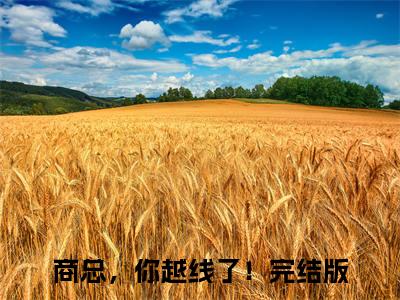 商总，你越线了！（商绍城岑青禾）全文阅读完整版_商绍城岑青禾小说免费阅读大结局（商总，你越线了！）