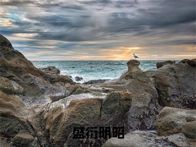 盛衍明昭(盛衍明昭)全文免费阅读无弹窗大结局_盛衍明昭说免费阅读最新章节列表_笔趣阁（盛衍明昭）