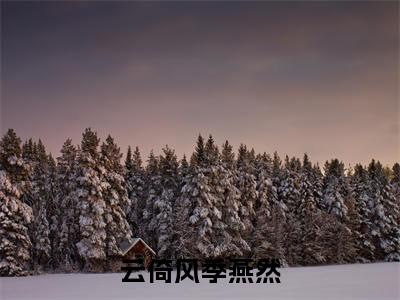 微小说（云倚风季燕然）-（云倚风季燕然）全文免费阅读