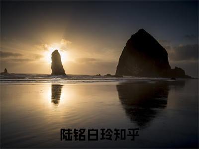 陆铭白玲（四合院：我有情绪升级系统）全文免费阅读无弹窗大结局_陆铭白玲热门小说最新章节阅读