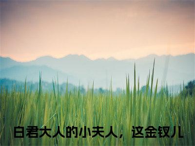 白重苏婉（白君大人的小夫人，这金钗儿）多人推荐-白君大人的小夫人，这金钗儿白重苏婉好看的小说完整版全文