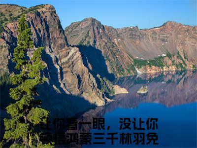 让你看一眼，没让你顿悟鸿蒙三千林羽的小说(让你看一眼，没让你顿悟鸿蒙三千林羽)最新章节全文免费阅读_笔趣阁