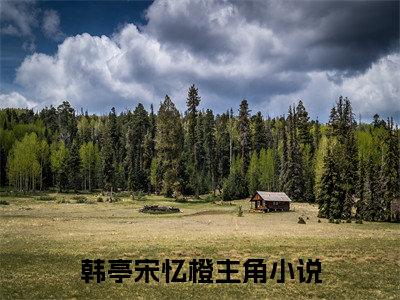 韩亭宋忆橙（韩亭宋忆橙）全文免费阅读大结局-韩亭宋忆橙最新章节列表笔趣阁