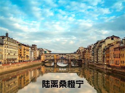 陆离桑橙宁（陆离桑橙宁全集无弹窗阅读）陆离桑橙宁已完结小说全集完整版大结局笔趣阁（陆离桑橙宁）最新章节列表_笔趣阁