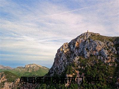 傅司年林晚禾（傅司年林晚禾全文免费）小说全文免费阅读无弹窗大结局_(傅司年林晚禾免费阅读）傅司年林晚禾最新章节列表_笔趣阁（傅司年林晚禾）