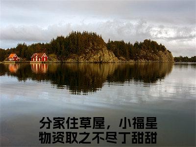分家住草屋，小福星物资取之不尽丁甜甜全文免费阅读无弹窗大结局_ 分家住草屋，小福星物资取之不尽丁甜甜在线阅读无弹窗