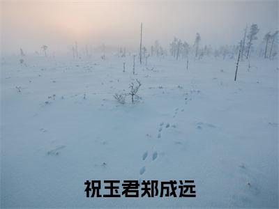 祝玉君郑成远小说全文免费阅读无弹窗大结局-（祝玉君郑成远免费阅读无弹窗）祝玉君郑成远最新章节列表笔趣阁