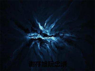 谢存旭阮念清热门小说即便有愧，亦不会后悔最新章节免费阅读-完结版全文即便有愧，亦不会后悔小说在线阅读